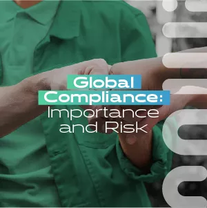 Global Compliance: Importance and Risk